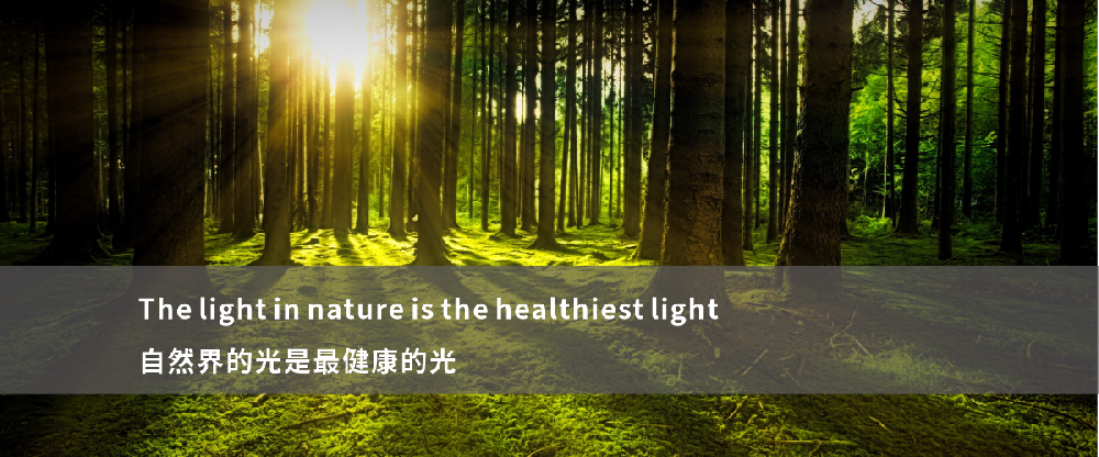 自然界 太陽(yáng)燈