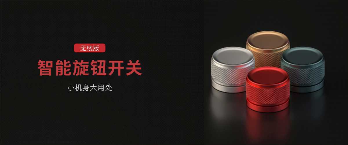 特恩斯P8晶致系列——金屬智能旋鈕開關(guān)